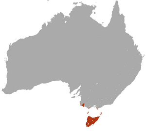 Archivo:Swamp Antechinus area
