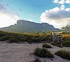 Archivo:Tepuy Kukenan Parque Nacional Canaima