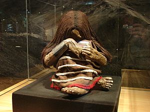 Archivo:The replica of the plomo mummy at the Museo Nacional de Historia Natural in Sangtiago Chile 2009 May 24