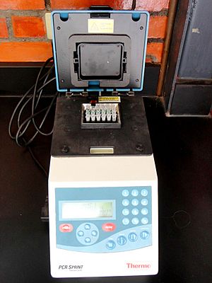 Archivo:Thermal cycler for PCR