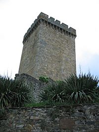 Archivo:Torre Monforte Galicia