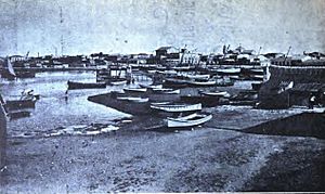 Archivo:Torrevieja. 1. Vista general de Torrevieja desde el puerto