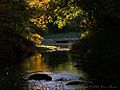 Travertine creek fall evening