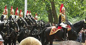 Archivo:Troopingthecolour