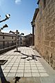 Urriés (Zaragoza) 034