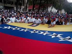 Archivo:Venezuelan March of Silence 05