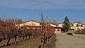 Viñedos Bodega Viña Sastre - Hermanos Sastre Ribera del Duero4