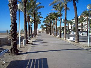 Archivo:Vilanova i la Geltru beach2