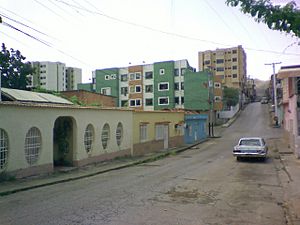 Archivo:Vista de la Calle Salias 