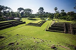 Vista de las pirámides de Izapa.jpg
