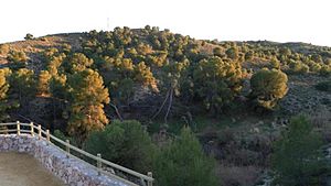 Archivo:Vista del paisaje de la Rambla Salada. Las Torres de Cotillas.