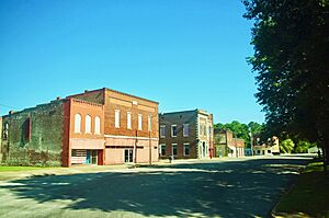 Archivo:West-Salem-block-il