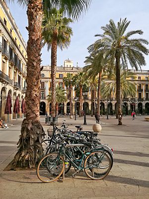 Archivo:137 Plaça Reial (Barcelona), bicicletes