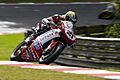 2008 Brands Hatch WSBK - Troy Bayliss (1)