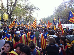 Archivo:2012 Catalan independence protest (74)