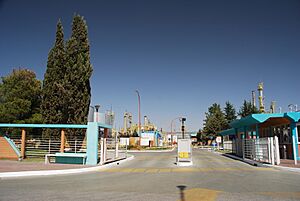 Archivo:351 Arg PlazaHuincul raffineria