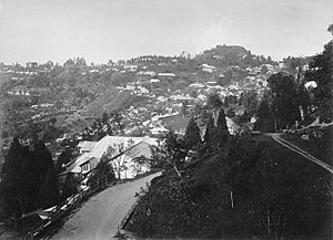 Archivo:A Darjeeling street scene, 1880