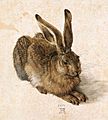 Albrecht Dürer - Young Hare - WGA07362