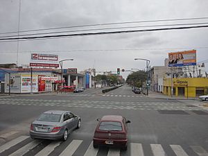 Archivo:Avenida Pellegrini y Avenida Francia, Rosario