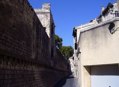 Avignon Rempart du Rhône