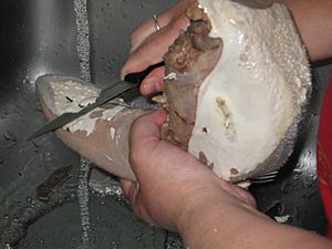 Archivo:Beef tongue preparation