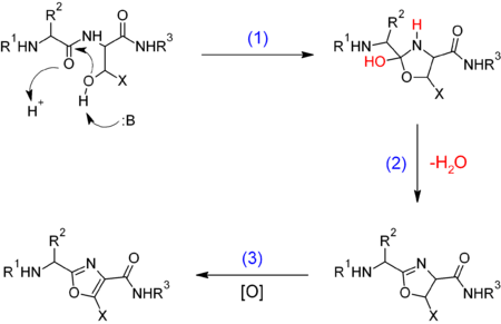 Archivo:Biosynthesis of oxazole