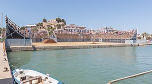 Archivo:Bous a la mar, Denia, España, 2022-07-13, DD 02