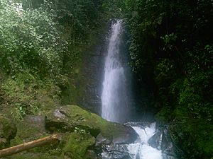 CASCADAS VEREDA EL CHUPAL.JPG