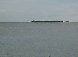 Cardona Island Light at Port of Ponce, PR, as seen from Isla de Gatas (IMG 3693).jpg