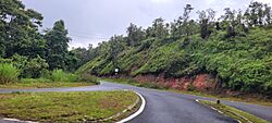 Carretera PR-742, Guayama, Puerto Rico.jpg
