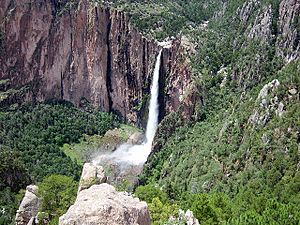 Archivo:Cascada de Basaseachi