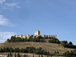 Castillo de Peñafiel desde abajo i