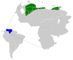 Distribución de Chlorostilbon alice