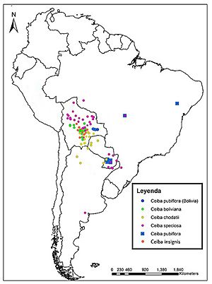 Archivo:Distribución de especies de Ceibas