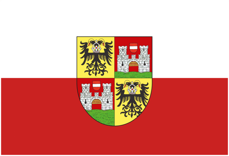Flagge der Stadt Wiener Neustadt