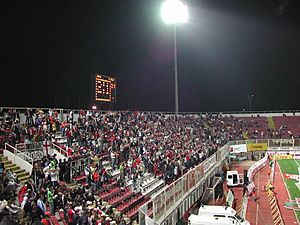 Archivo:Giulesti Stadium - stand of home supporters II