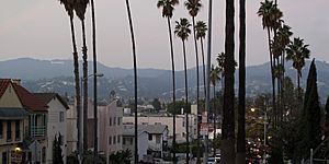 Archivo:Hollywood Hills from Normandie Avenue