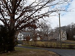 Houses with large tree, Newington Forest CDP, Fairfax County, Virginia.jpg