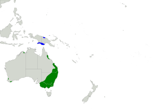 Archivo:Ixobrychus dubius map