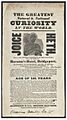 Joice heth poster