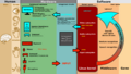 Linux kernel INPUT OUPUT evdev gem USB framebuffer