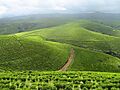 Mambila Plateau of Taraba State