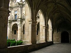 Mosteiro de San Salvador de Celanova