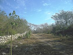 Mucuyché Campos, Yucatán (02).JPG