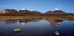Archivo:Nevados de Quimsachata and Guallatiri, 1990-00-00 SCN 0378