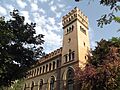 Palacio del Marqués de la Motilla - Calle Larana, Seville (14655437296)