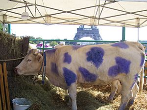 Archivo:Paris Milka Cow