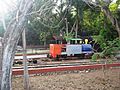 Parque Zoológico del Centenario, Mérida, Yucatán (14)