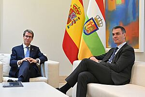 Archivo:Pedro Sánchez se reune con Gonzalo Capellán (09-2024)
