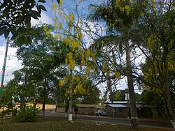 Plaza de La Línea, parroquia La Pica.jpg